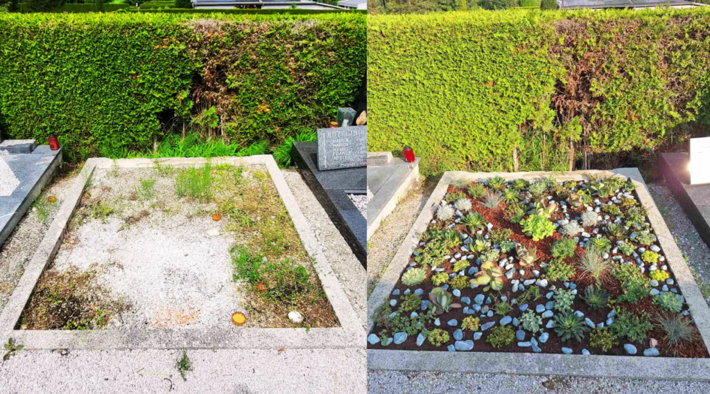 Ta slika ima prazen atribut alt; ime datoteke je prej-in-potem-Velenje-grob-1024x569.png